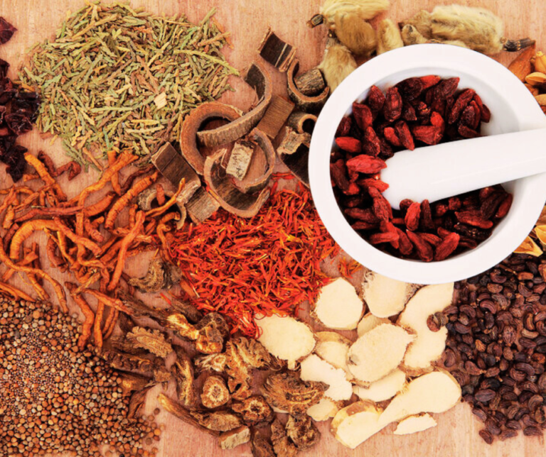 Unveiling the Healing Wonders: Dr. Bilal Ahmad Bhat's Perspective on Traditional Medicines