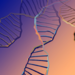 Revolutionizing Genomics: How a New AI Model Predicts Gene Expression Across Human Cell Types