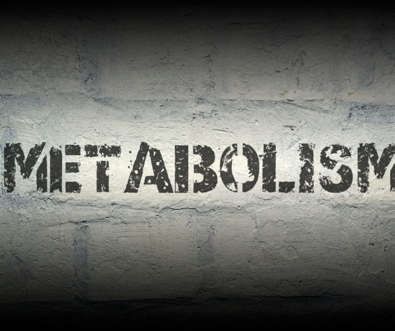 Does Your Metabolism Really Slow Down With Age? The Truth About Aging and Fat Burn