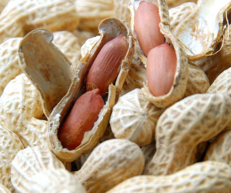 A New Dawn For Childhood Health: How Early Peanut Feeding Is Protecting Thousands Of Babies From Allergies