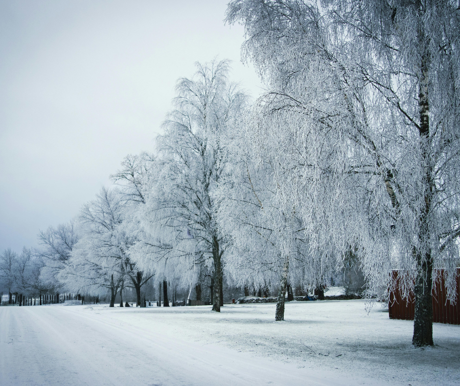 Conquering the Endless Winter: The Powerful Nordic Blueprint for Beating the Cold, Dark Blues
